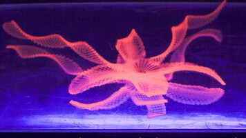 Harvard scientists are 3D printing shapeshifting plants