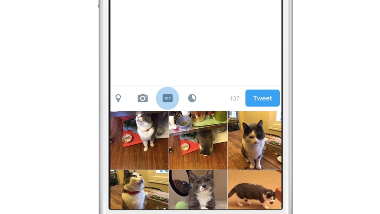 Twitter is adding a dedicated GIF button to make your timeline and DMs more animated