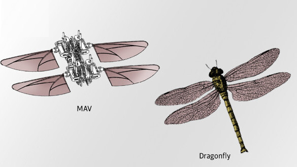 This week in patents: Phantom limbs, battling cancer, and more