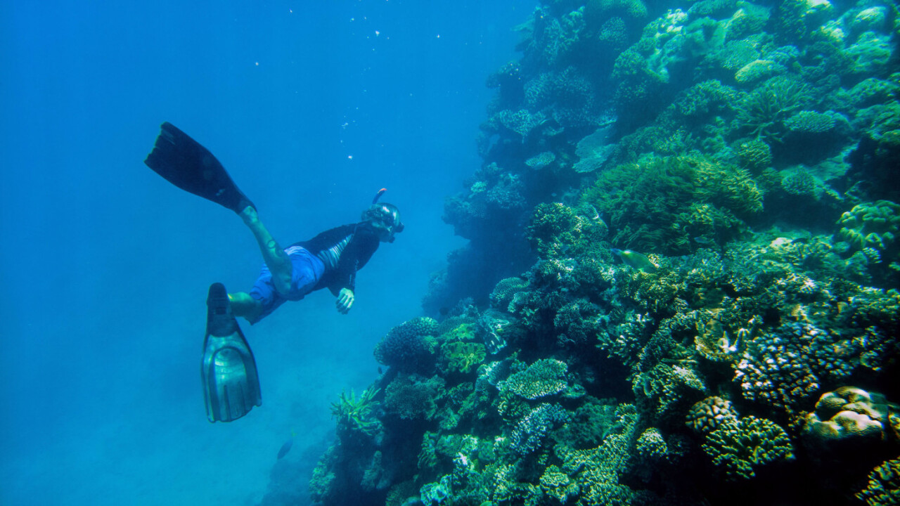 The Great Barrier Reef: On assignment with Nat Geo and Microsoft Lumia