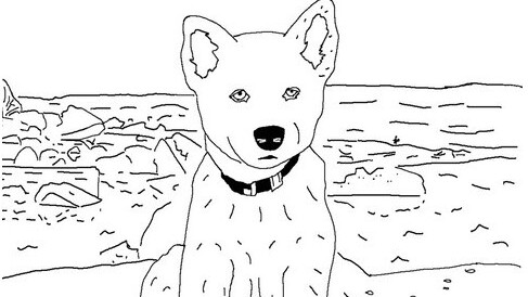 Be the star of your own coloring book for just $25