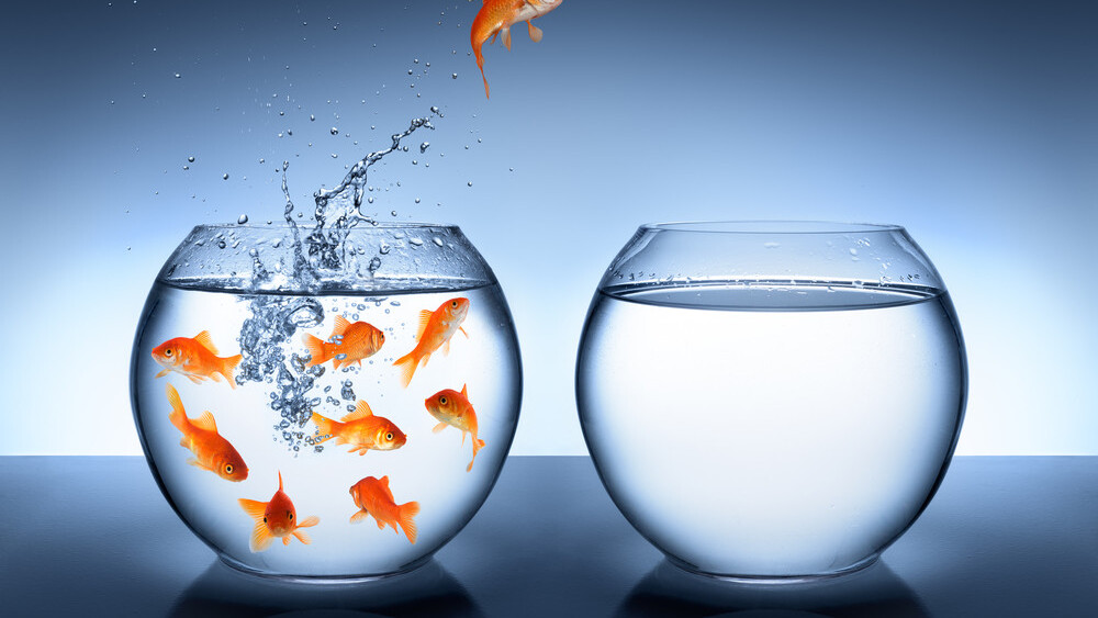 The benefits of being a little fish: How startups can beat big companies at the PR game