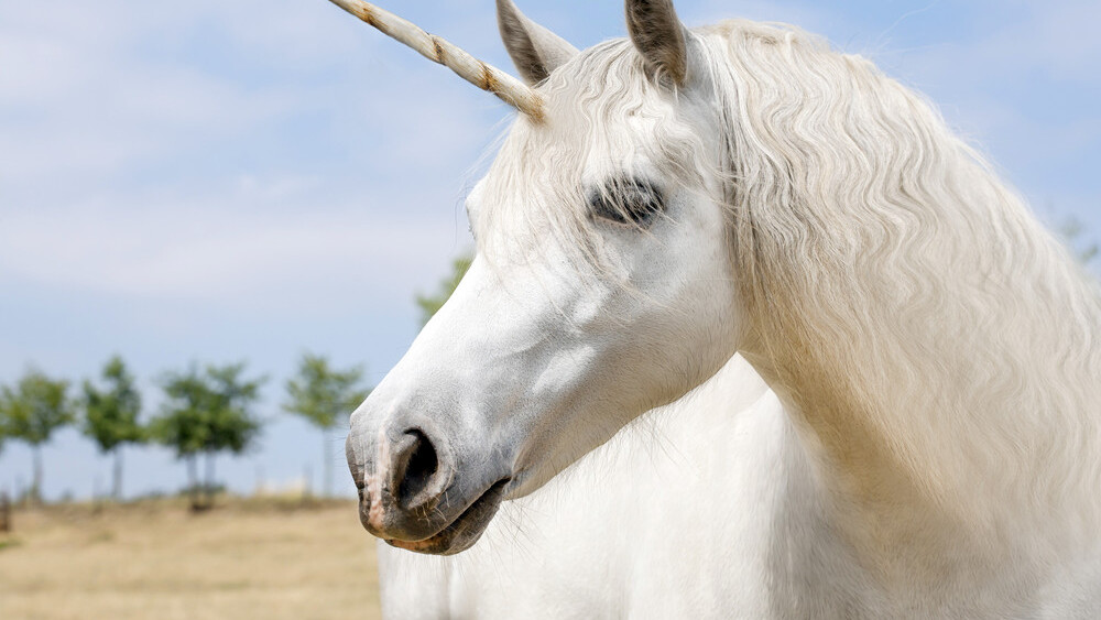 Are unicorns on the verge of extinction?