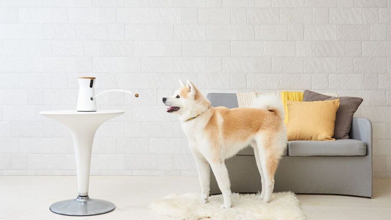 Furbo lets you catapult treats at your dog when you’re not around
