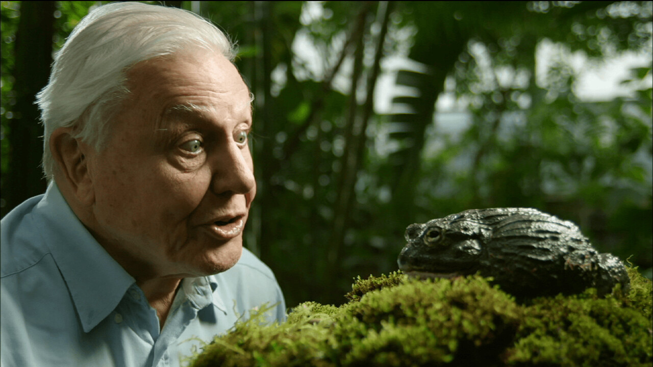 David Attenborough is releasing an app that features 1,000 clips of his own work