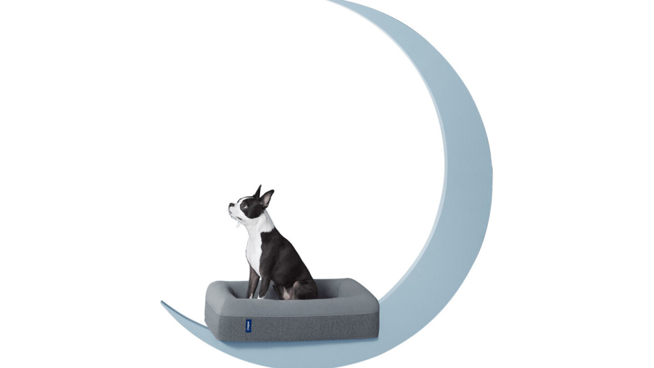 Casper now sells memory foam beds for your spoiled pups