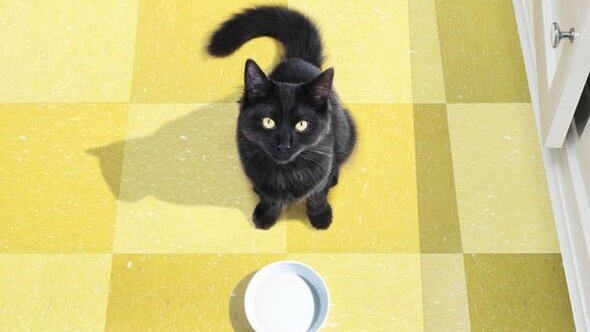 Britain’s government just responded to an FOIA request in the most badass way