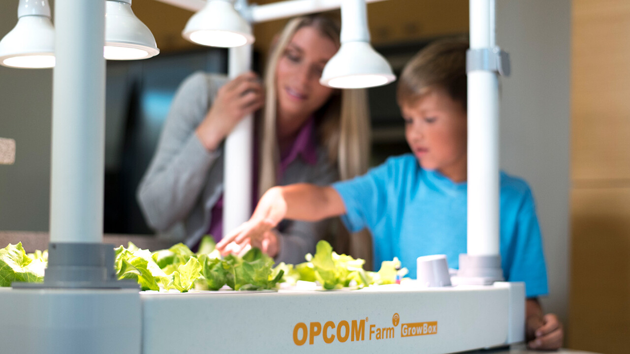 Opcom proves you can grow more than weed with at-home hydroponics