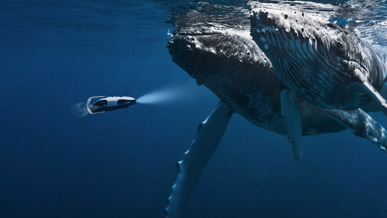 This underwater drone uses sonar to track down fish and film it in 4K