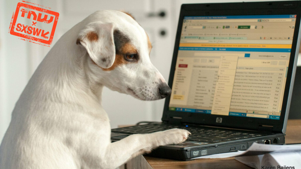 The chicken-and-egg problem of establishing if you’re a dog online