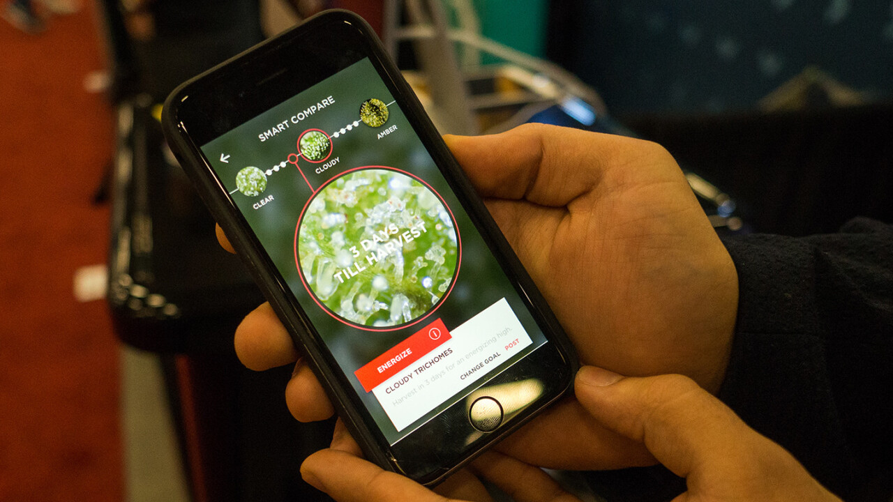 Snaphash is an augmented reality weed doctor for your iPhone