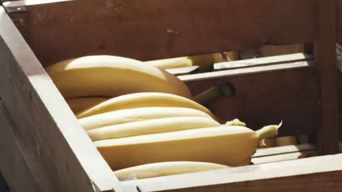 Amazon gives away 1.7M bananas around its headquarters in Seattle