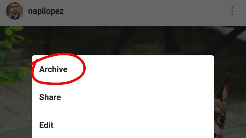Instagram’s Archive feature now available to everybody for hiding those drunk photos