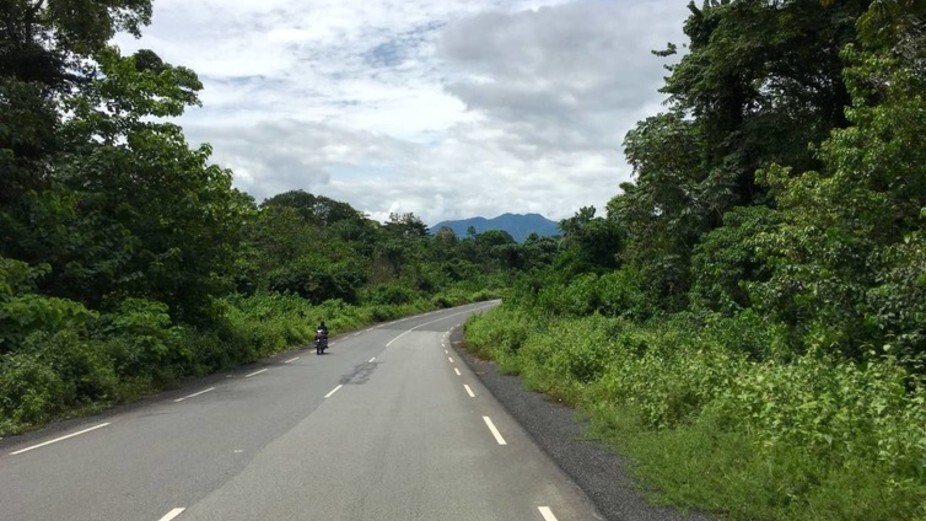 Technology and big data are helping Cameroonians protect their forests