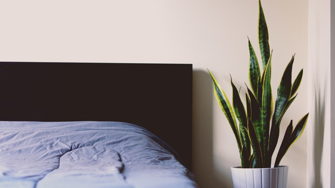 What goes into a rebrand? One company discusses their dramatic overhaul
