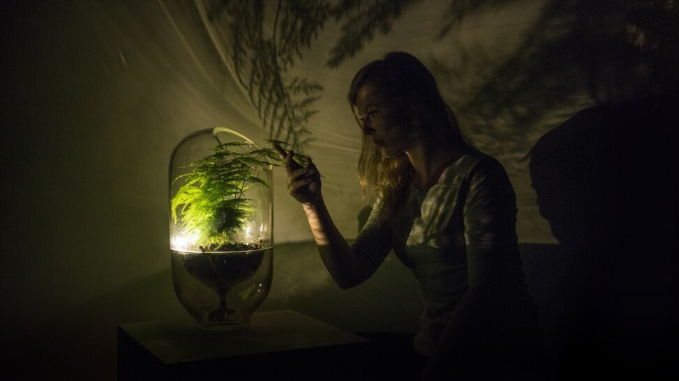 This Dutch startup turns plants into batteries