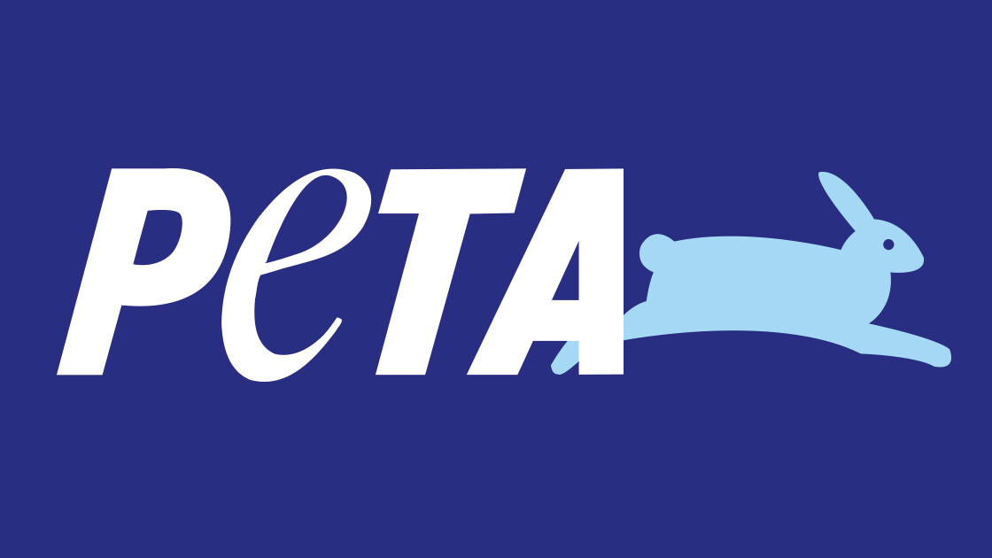 PETA settles monkey selfie court case – but at what cost?
