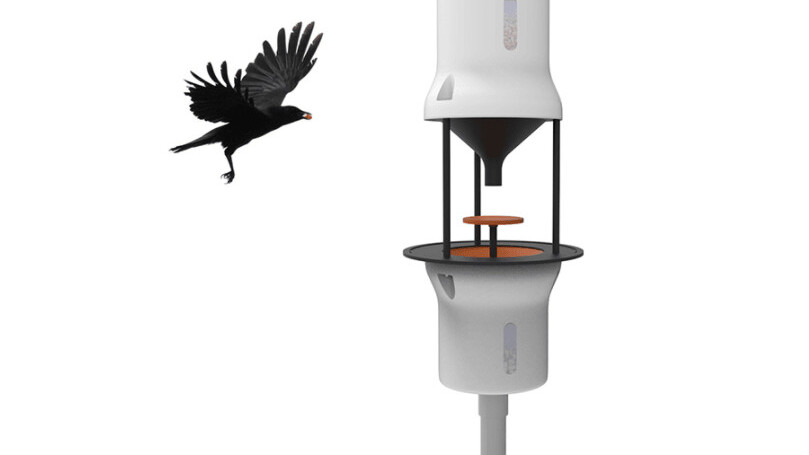 This startup wants to clear cities of cigarette butts using crows (yes, the bird)