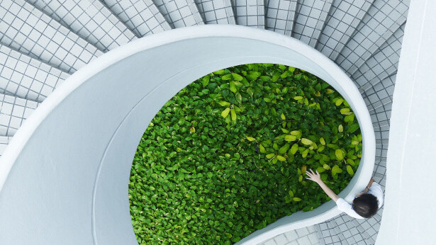 How going green can save your company major dollars