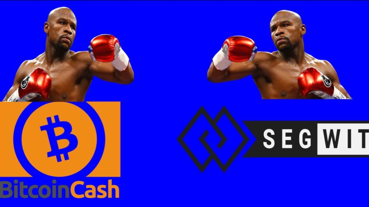 segwit and bitcoin cash