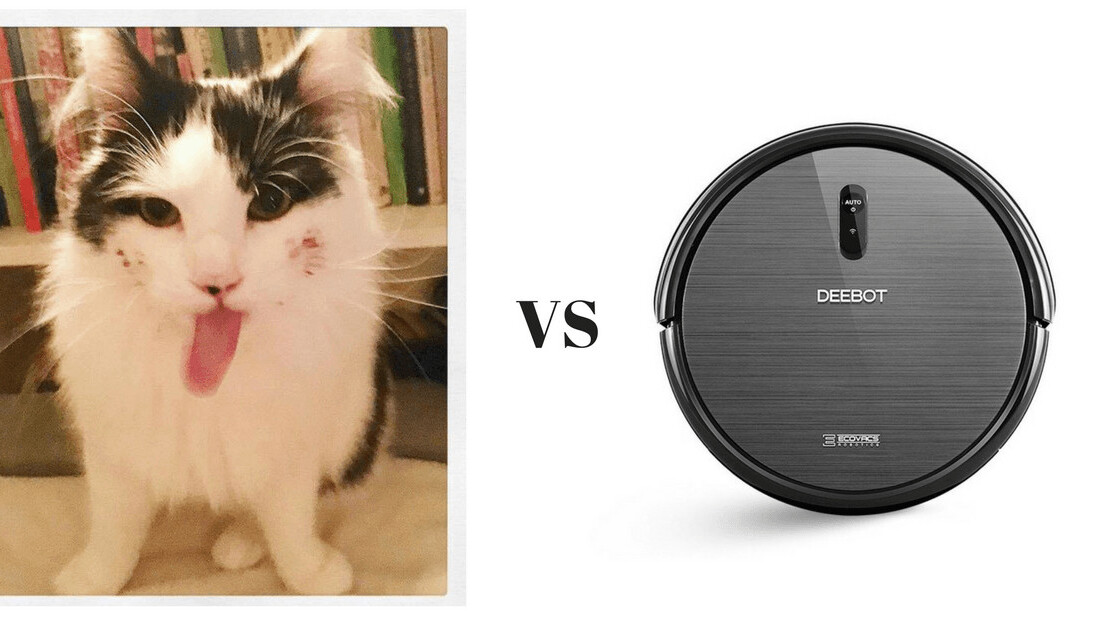 10 ways my robot vacuum cleaner is a way better version of my cat