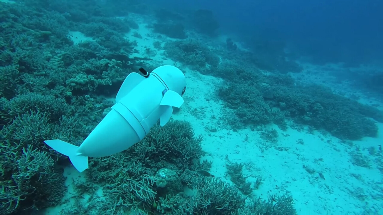 MIT’s new robot fish is eerily realistic