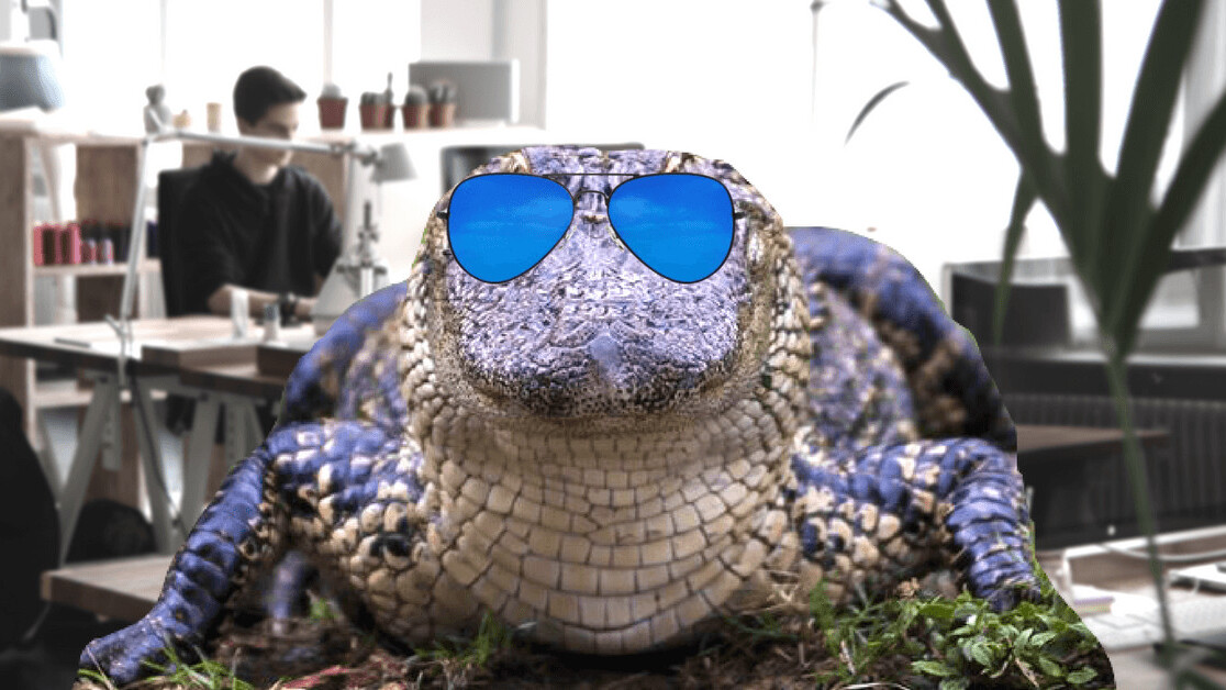 Alligator blood is the key to your startup’s success