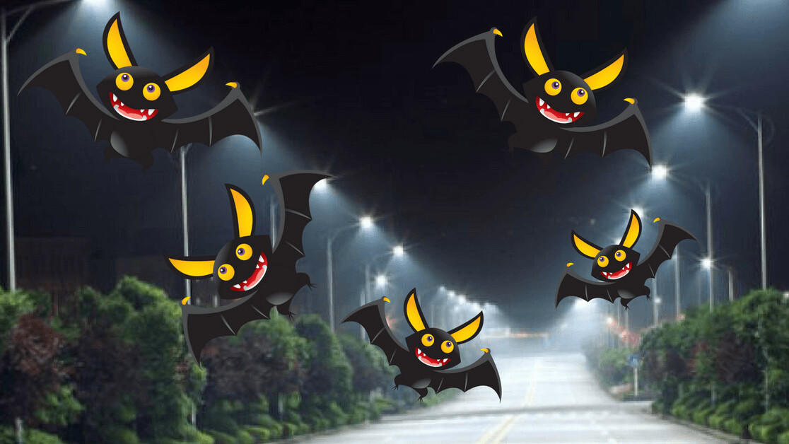 This Dutch town uses high-tech streetlights to keep its bats happy