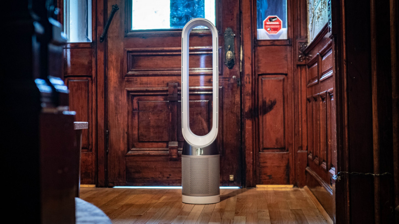 Review: Dyson’s Pure Cool air purifier helped relieve my dog’s allergies