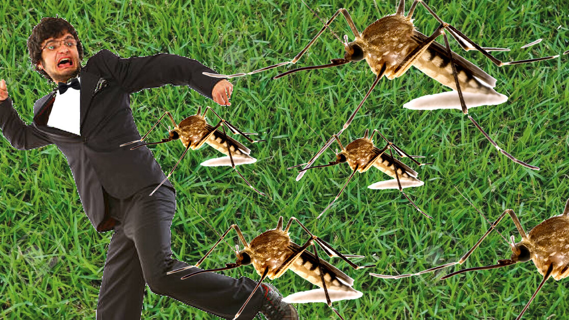 Here’s why mosquitoes bite some people more than others
