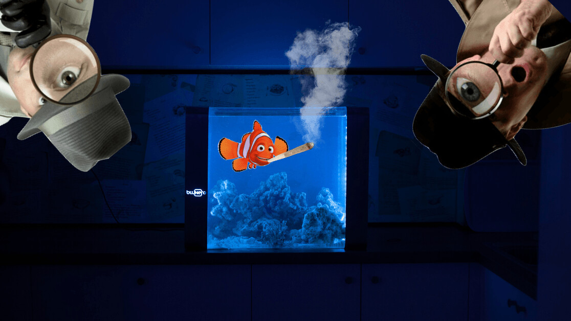 The Bluenero is a smart aquarium that lets you spy on your fish