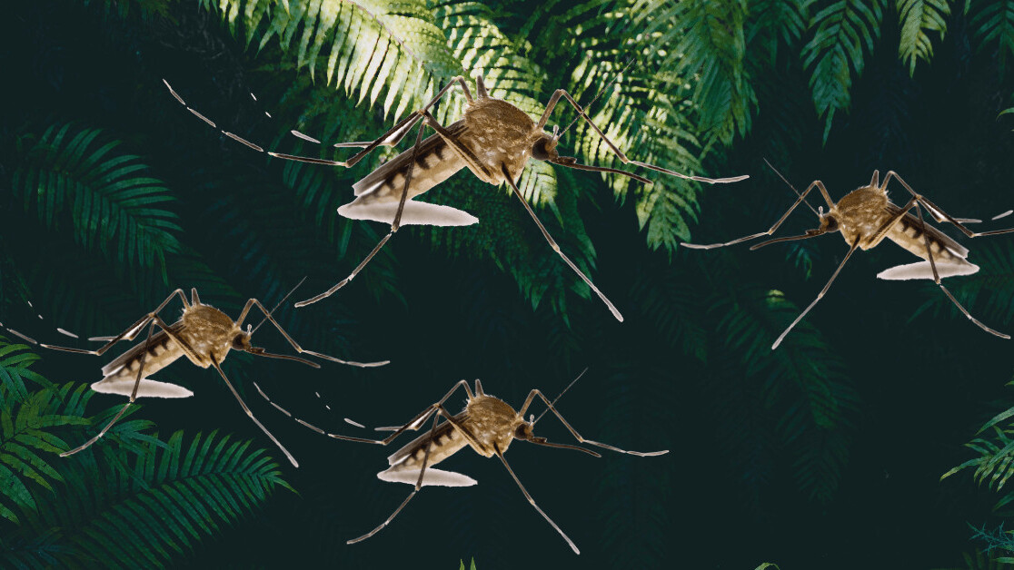 How the new mosquito emoji can create buzz to battle mosquito-borne disease