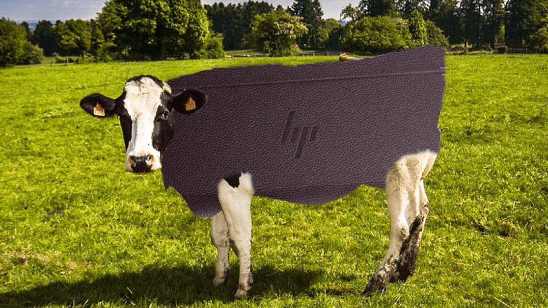 We calculated how many cows HP will murder to make its new leather laptop