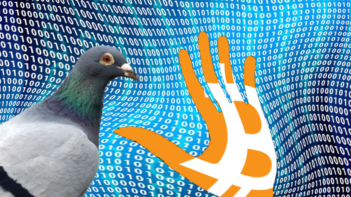 Hackers exploit Bitcoin inflation bug to print 235M fake Pigeoncoins