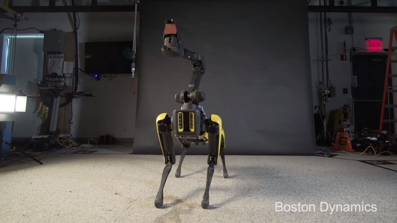 Watch this adorable robot dog dance – then try not to picture it attacking you
