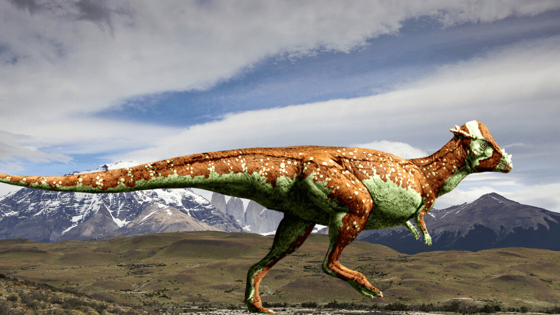 New species of dinosaur discovered in Neuquen, Patagonia