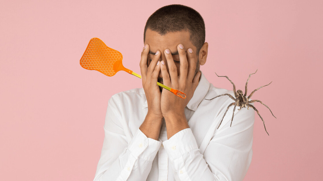 Science says you shouldn’t kill spiders in your home
