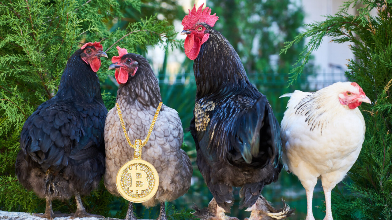 Why did the chicken cross the road? To get fed by blockchain