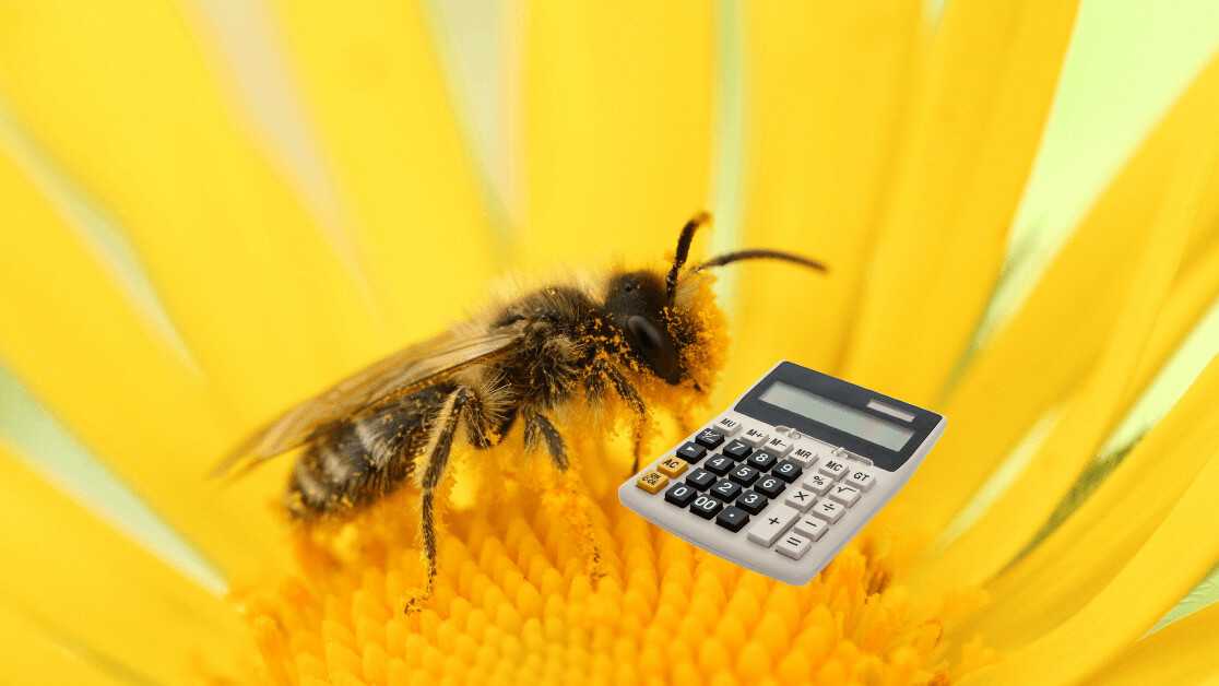 New research shows bees can do math