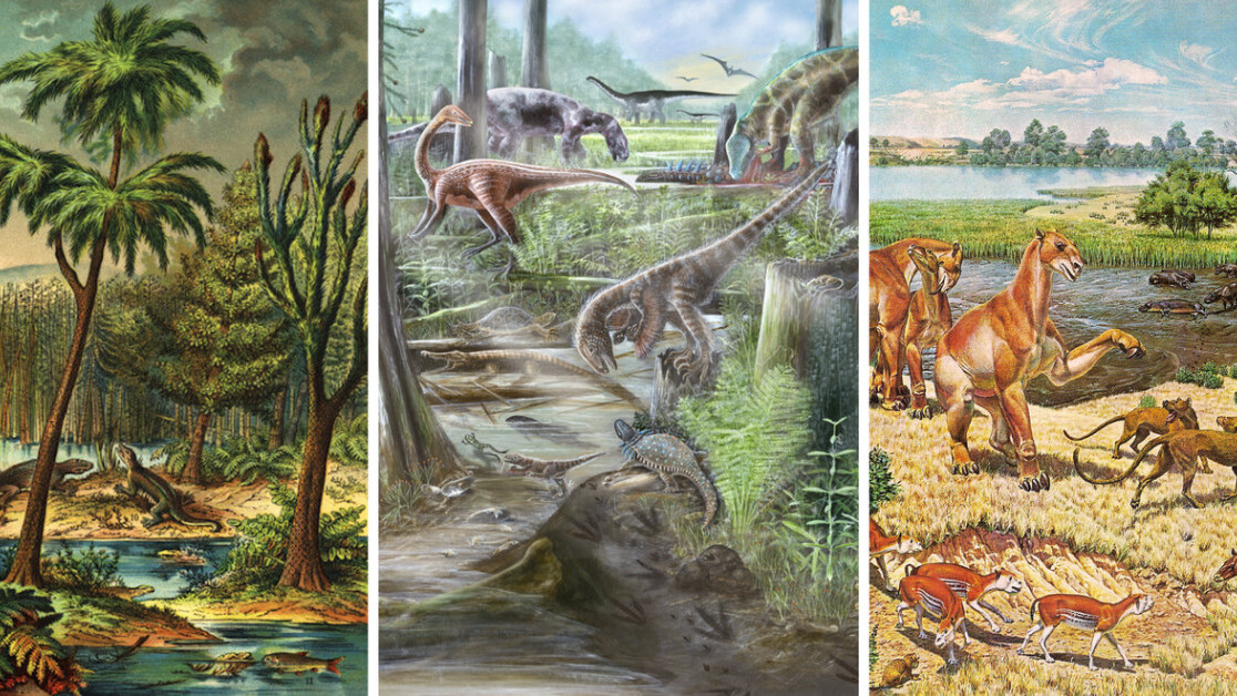 Humans have completely destabilized land animal diversity
