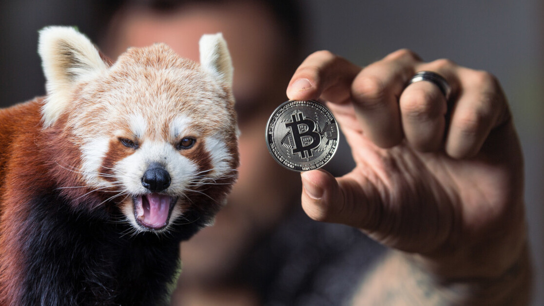 Welcome to the longest Bitcoin bear market in history