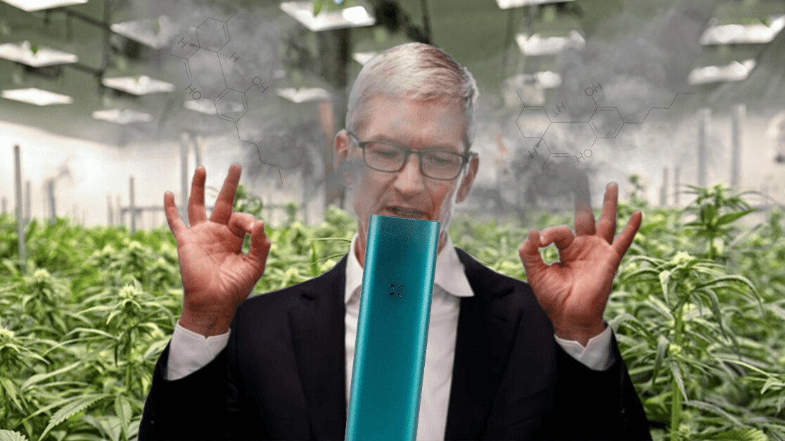 PAX wants to be the Apple of weed vapes – and CBD might be the key