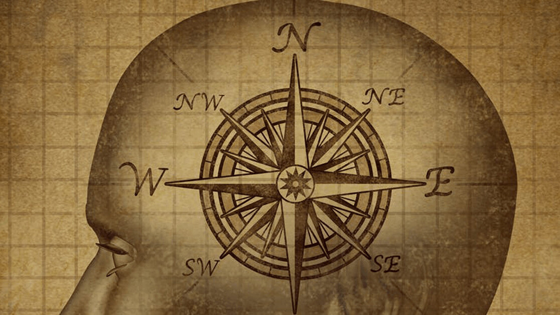 Research: Humans can sense the Earth’s magnetic fields (just like bees)