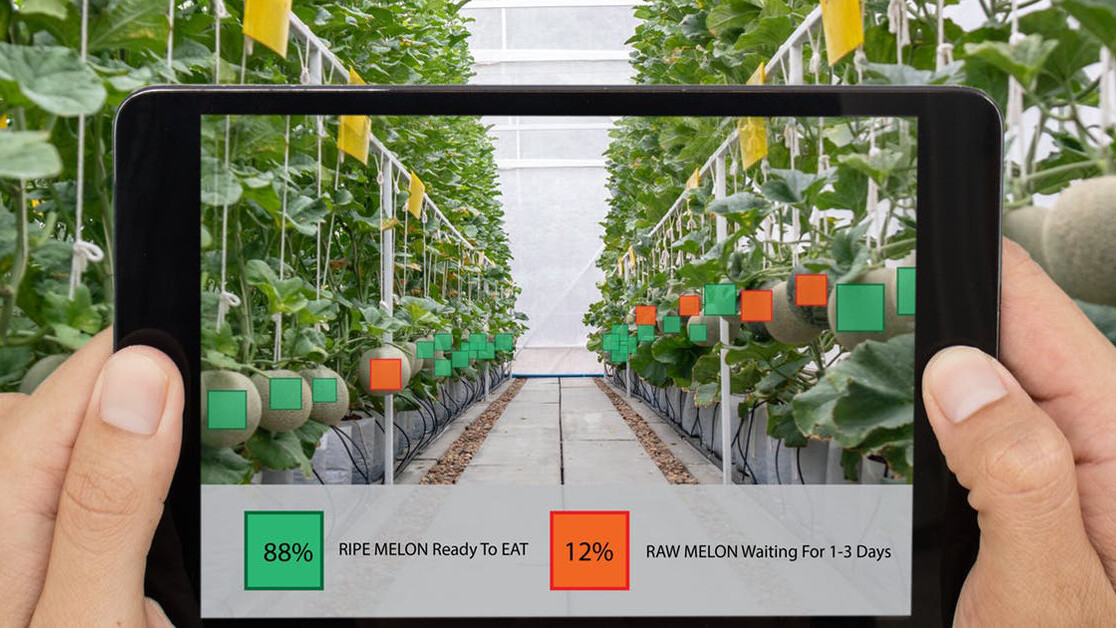 The digital farming revolution will cost workers their power, dignity, and possibly their jobs