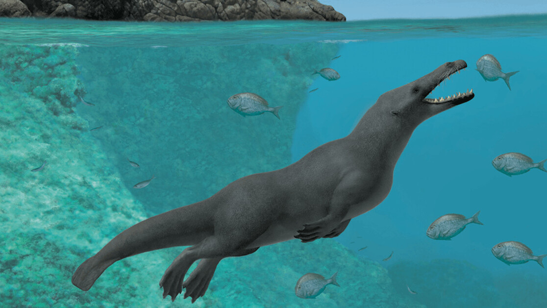 Ancient whales had four legs, and split their time between land and sea