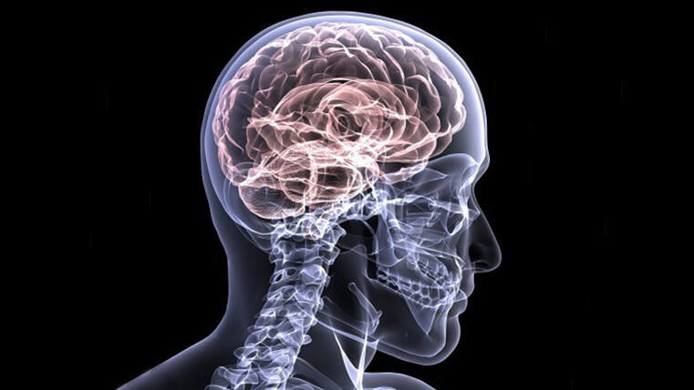 Yale researchers spot a biomarker that could help to predict suicide