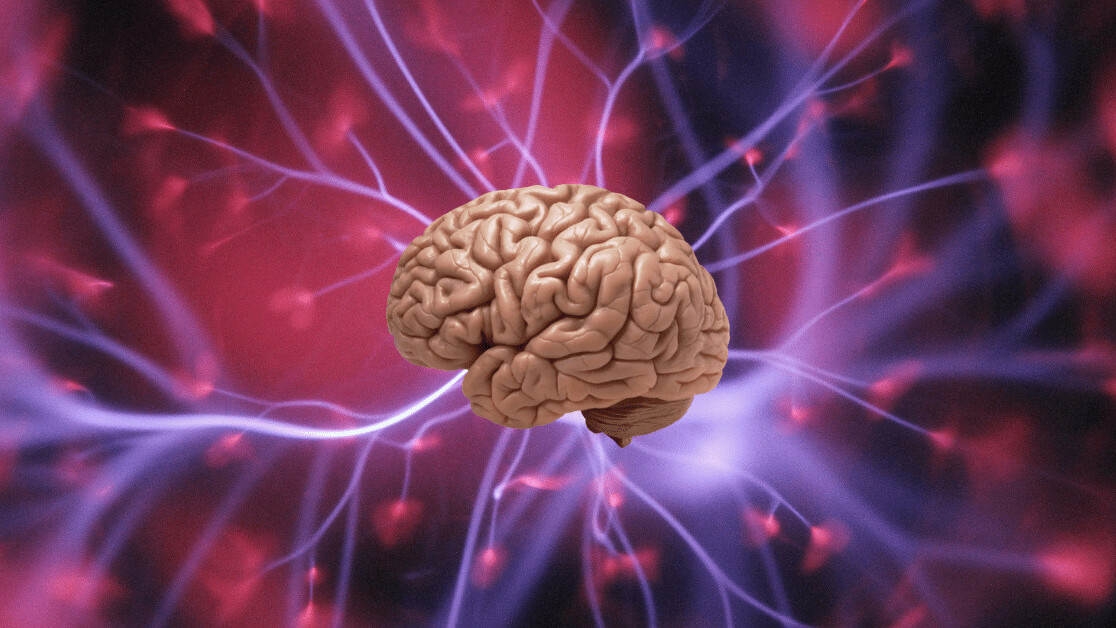 How scientists could one day predict your memories