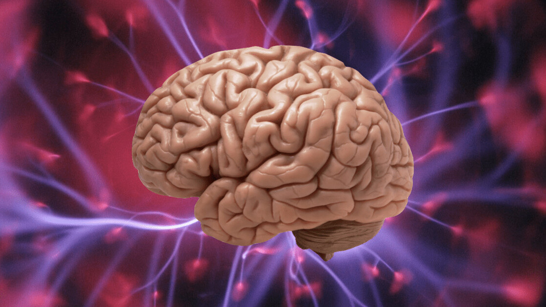 New research on mice reveals how sleep makes the brain forget things