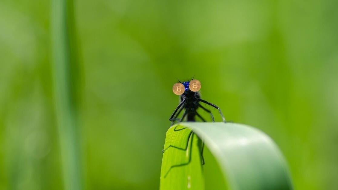 Kraken bug apparently let users buy Bitcoin for $8,000 and instantly sell it for $12,000