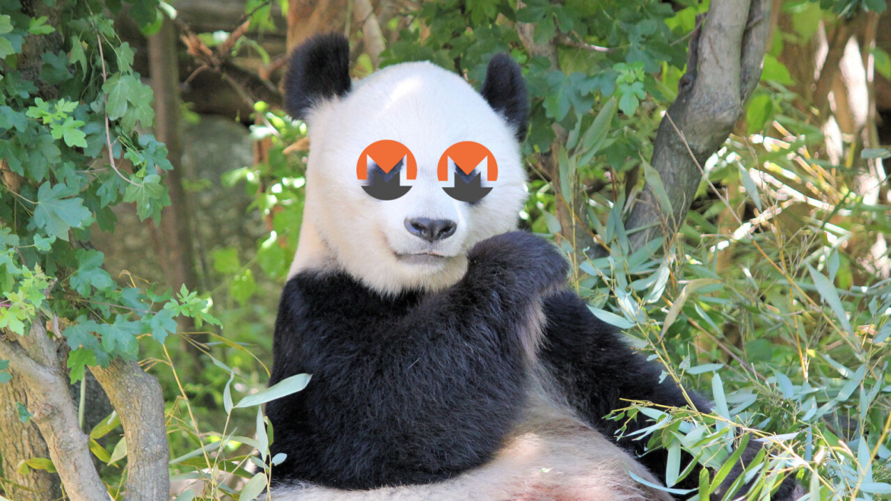 panda